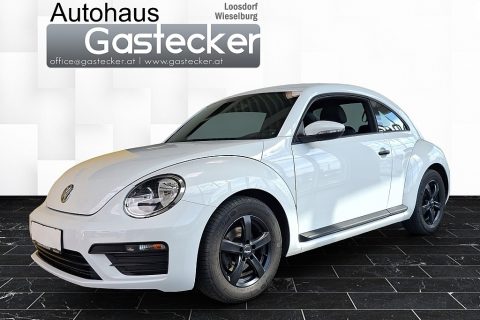 VW Beetle